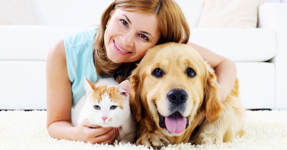 How pet sitters take care of pets friendly