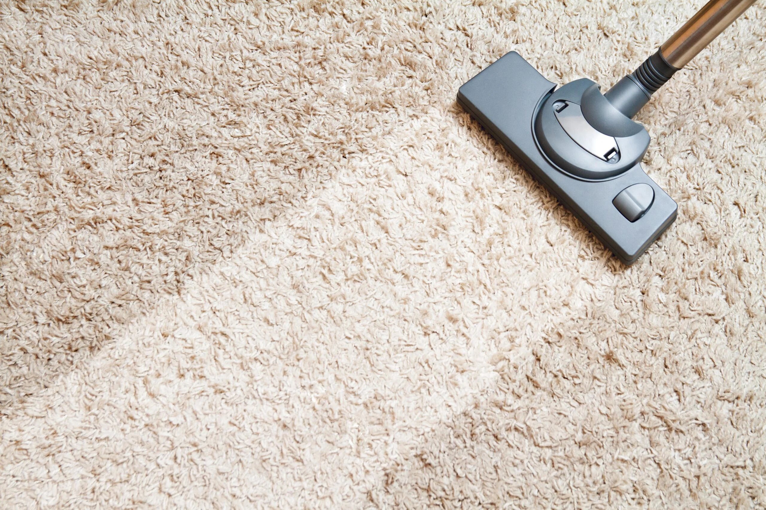 Everything To Know About Professional Carpet Cleaning In Asheville, NC
