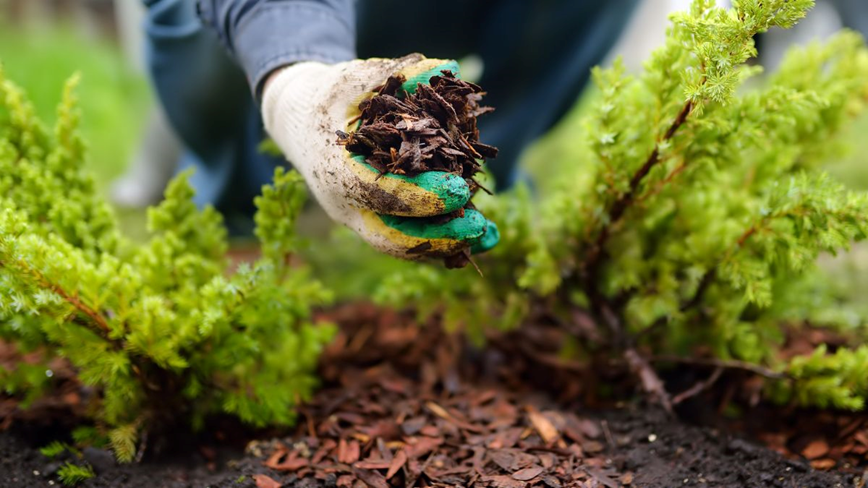 Enhancing Home Maintenance: The Role of Mulch and Other Landscaping Supplies