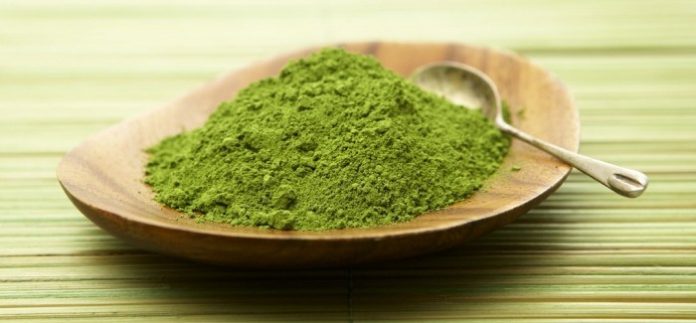 What to Know About Kratom Strain Tolerance and Sensitivity